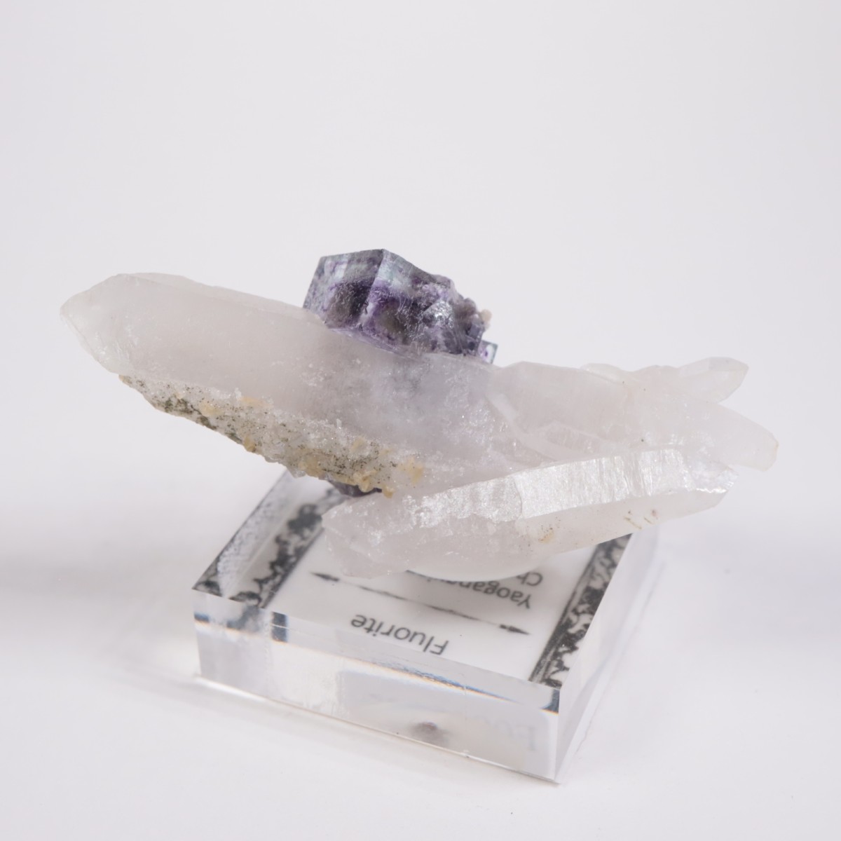 �䥪���󥷥��ۻ� �ե����饤��