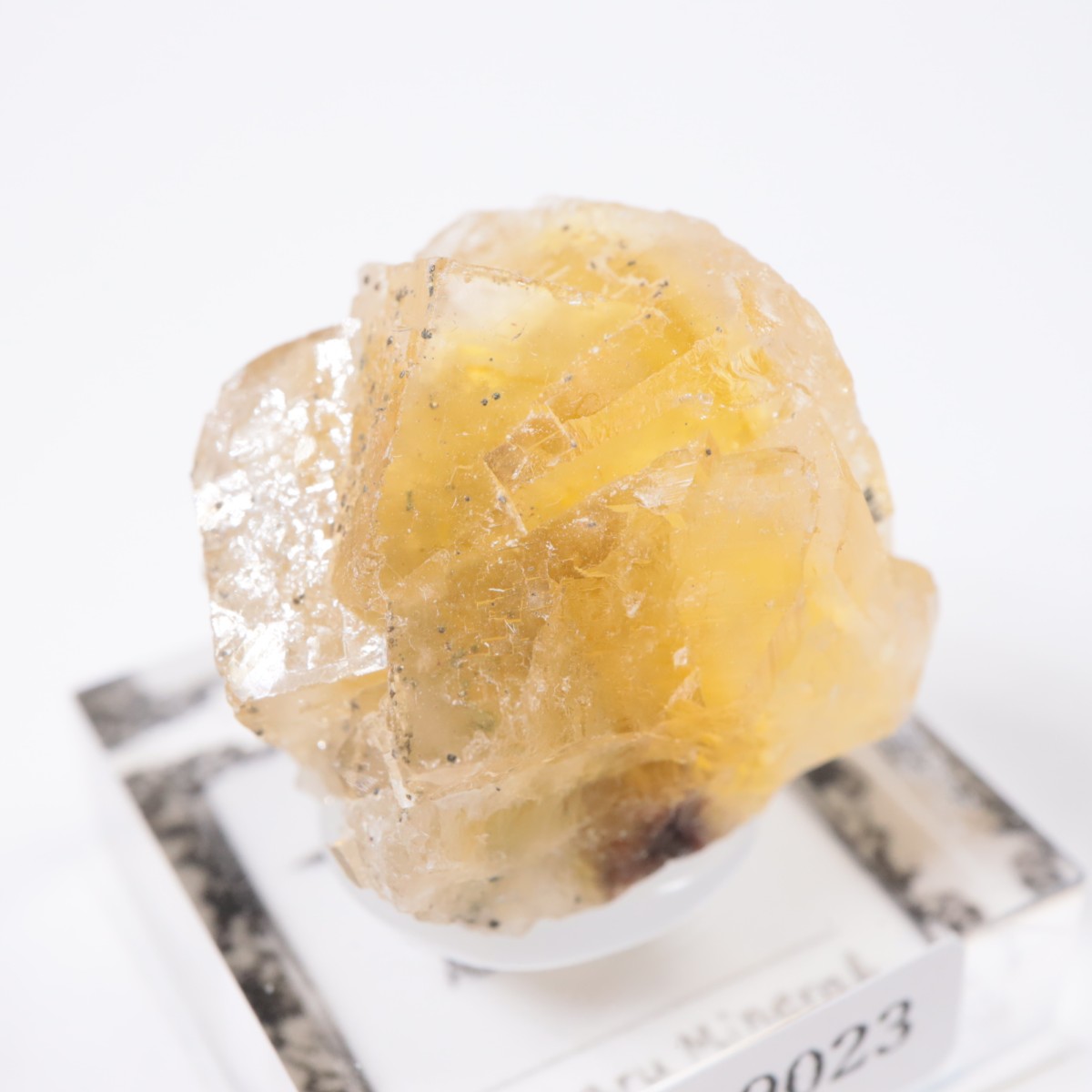 Moscona�ۻ� �ե����饤��