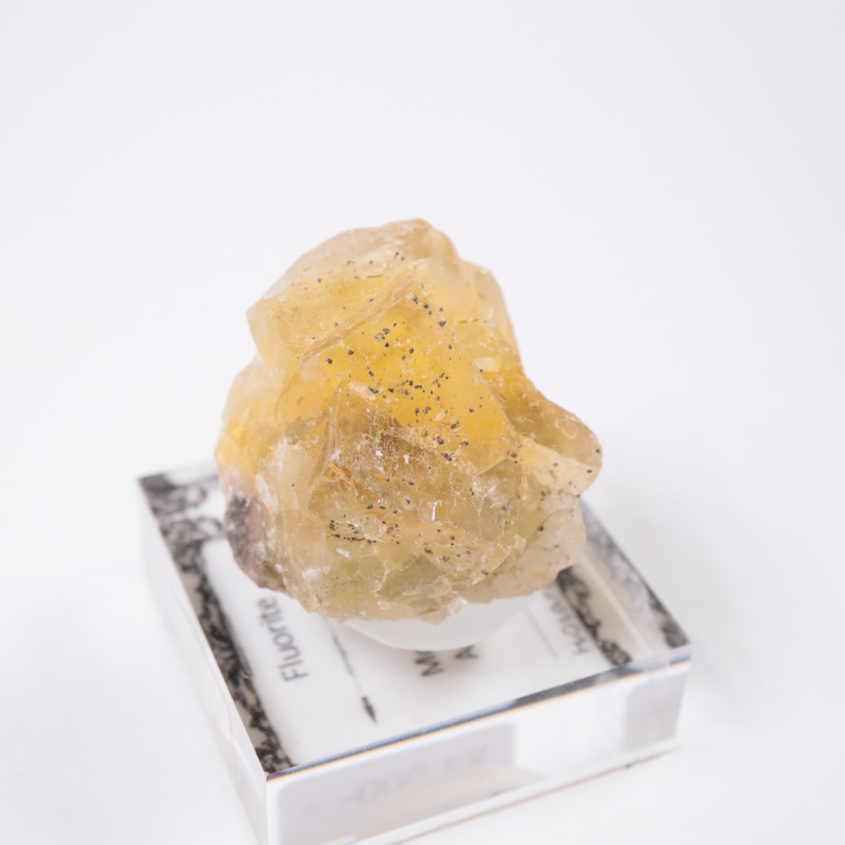 Moscona�ۻ� �ե����饤��