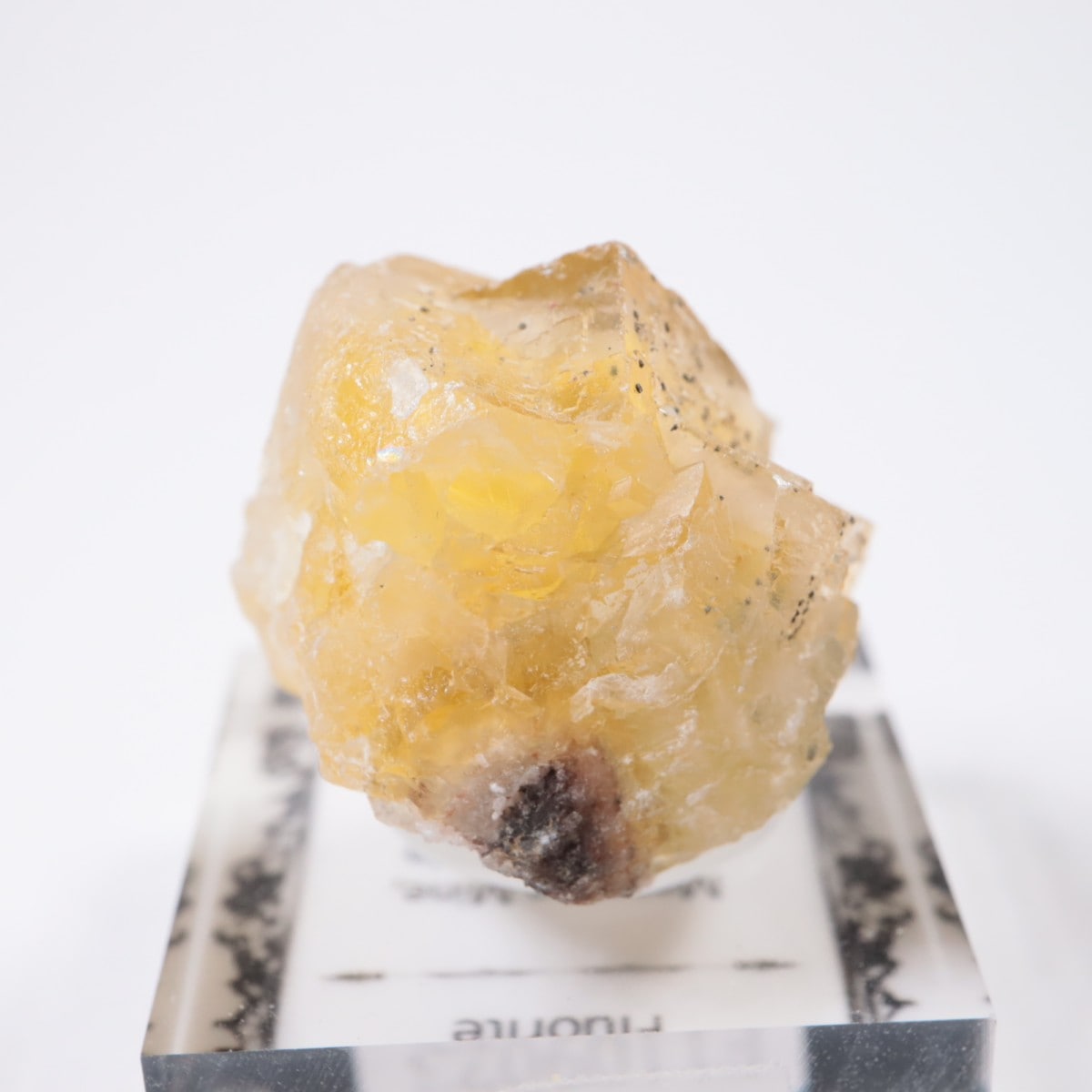 Moscona�ۻ� �ե����饤��