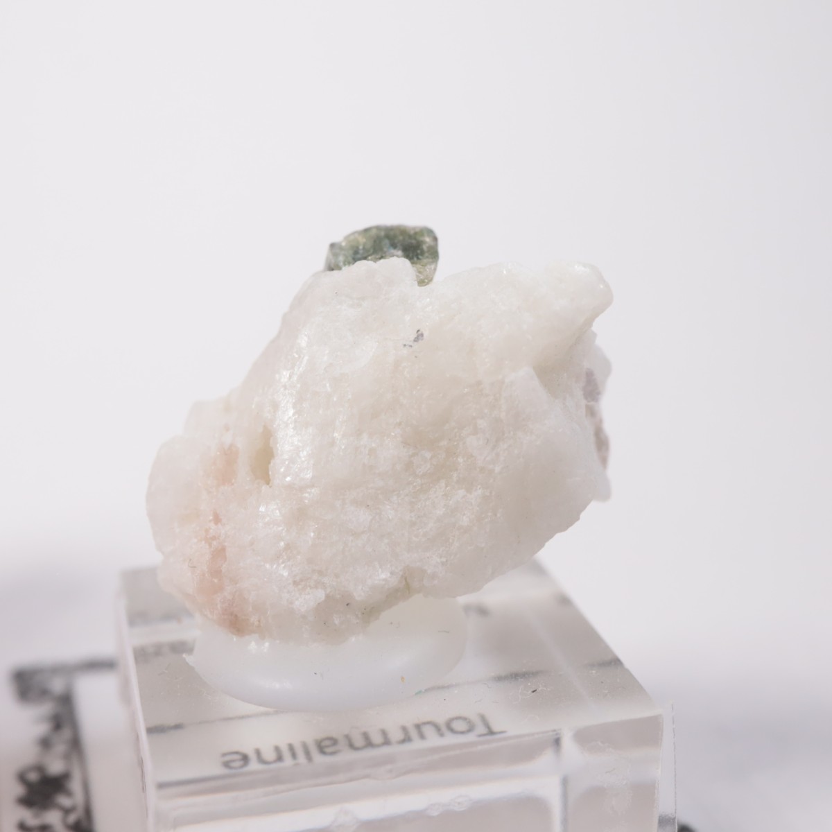�֥饸�뻺 �ȥ�ޥ��