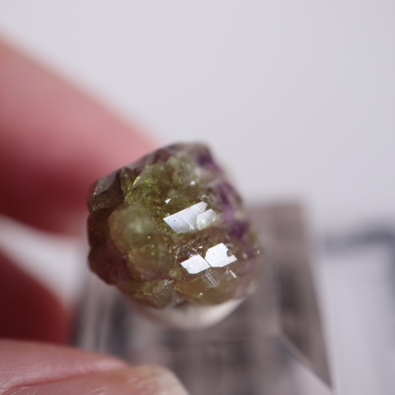 ���ʥ������٥����Сʥ٥��������ʥ��ȡ�