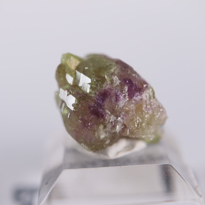 ���ʥ������٥����Сʥ٥��������ʥ��ȡ�