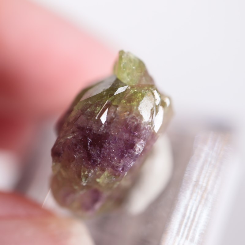 ���ʥ������٥����Сʥ٥��������ʥ��ȡ�