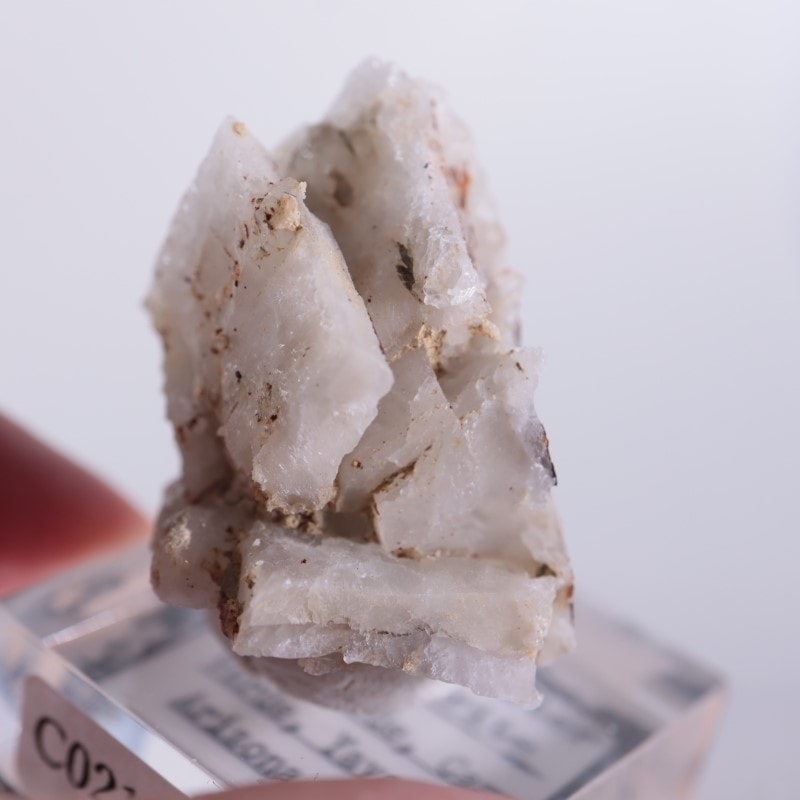 ���꥾�ʽ��������ץ���