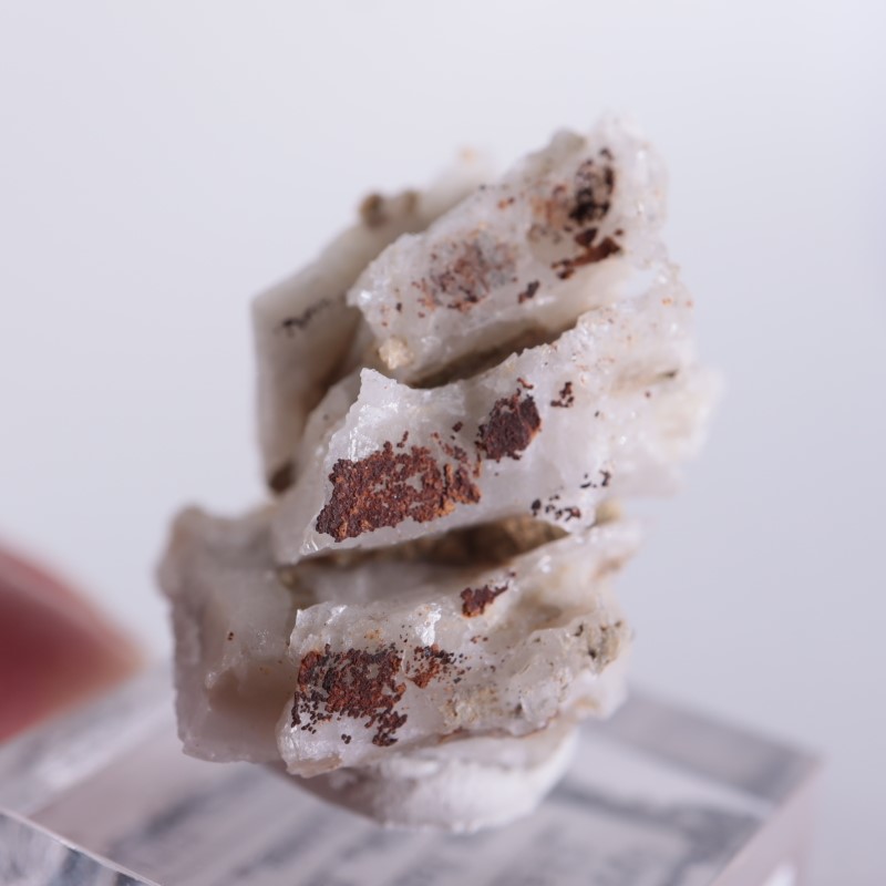 ���꥾�ʽ��������ץ���