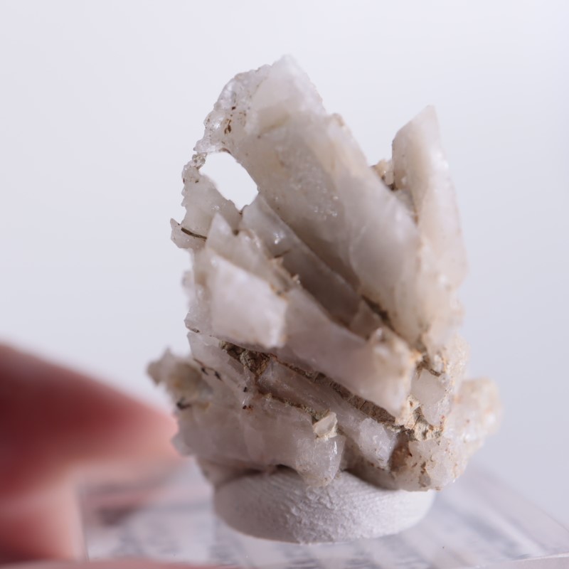 ���꥾�ʽ��������ץ���