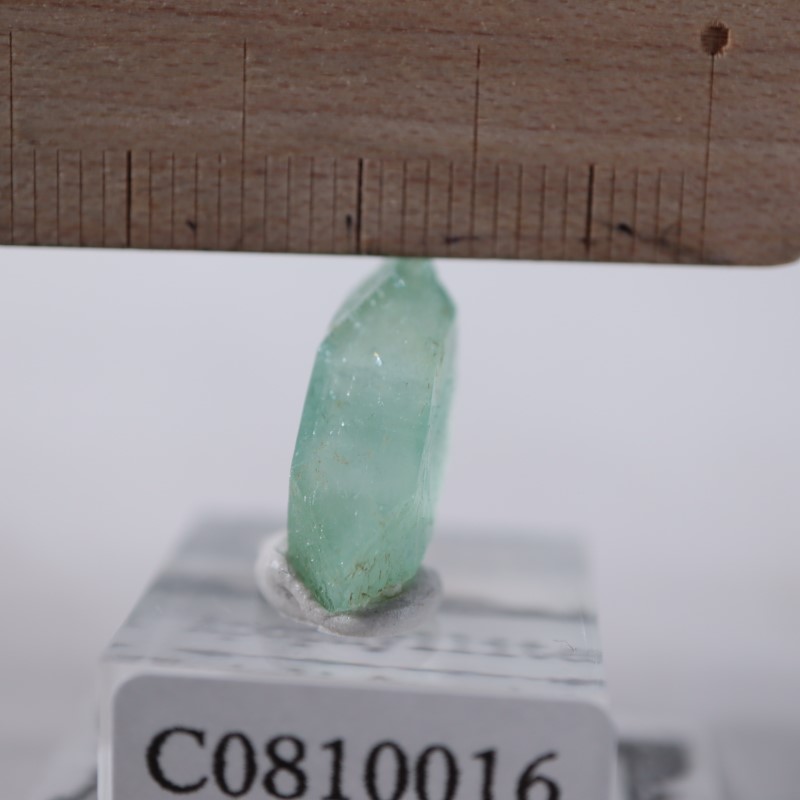 Wagholi�������ݥե��饤��