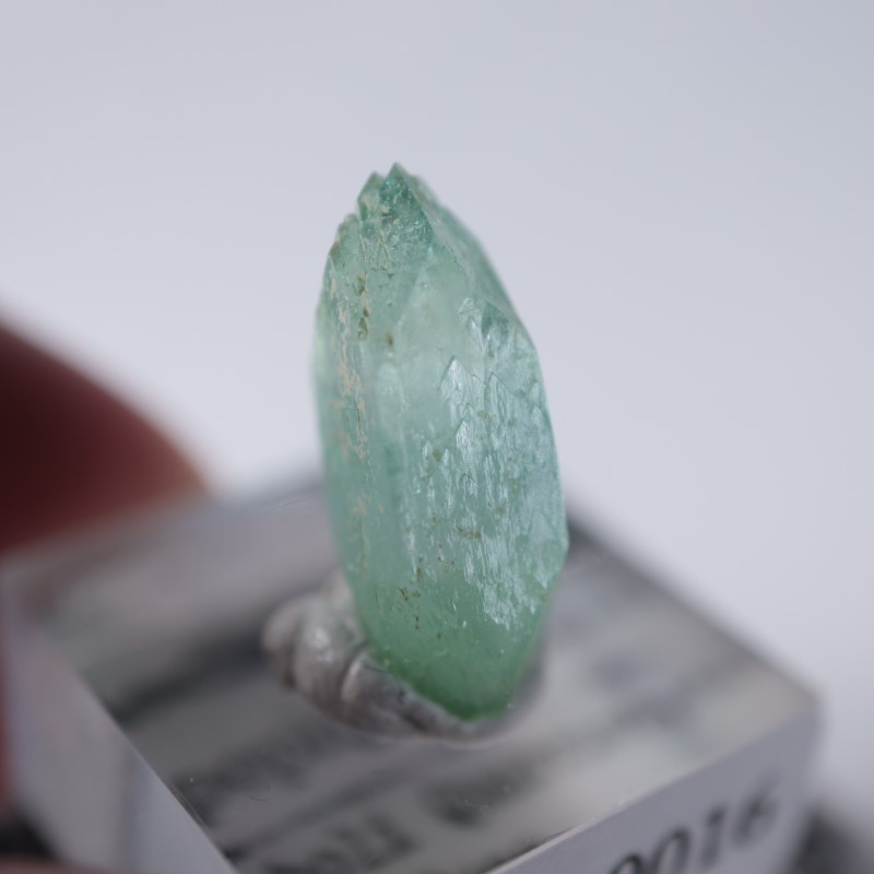 Wagholi�������ݥե��饤��