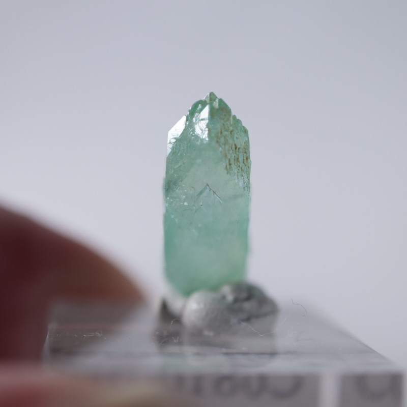 Wagholi�������ݥե��饤��