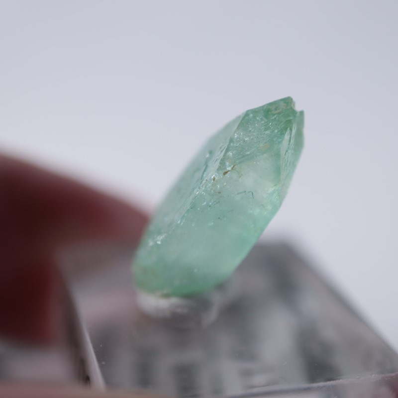 Wagholi�������ݥե��饤��