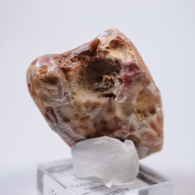 9_000000005451.jpg?1684149631