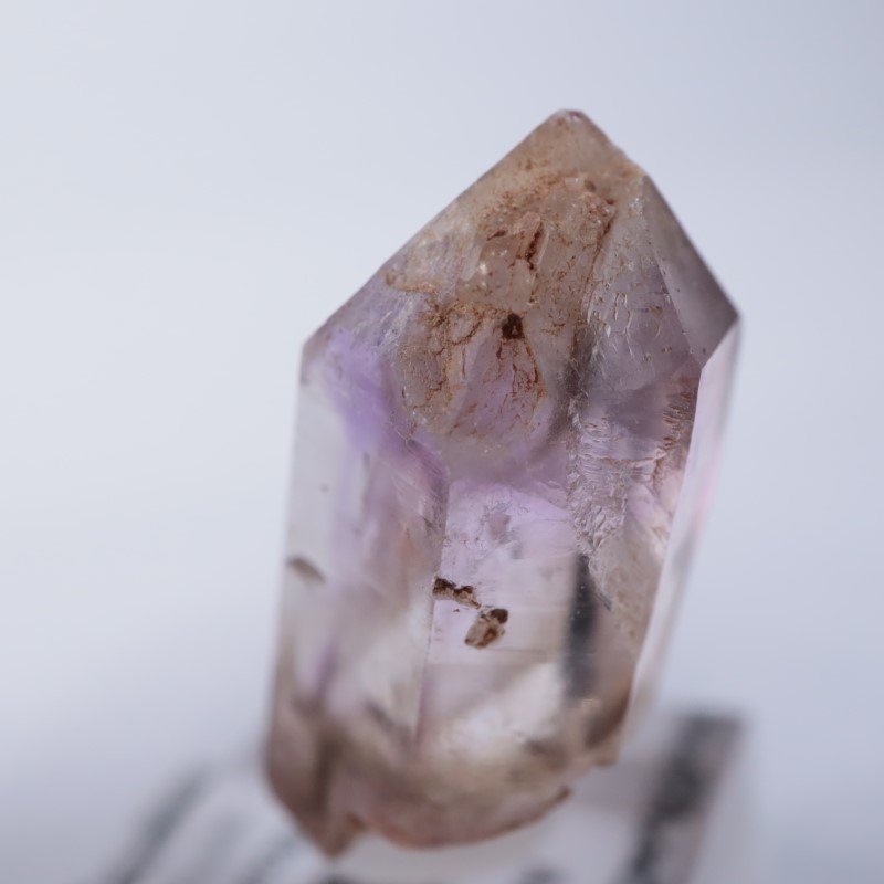 �֥��ɥС����������᥷����