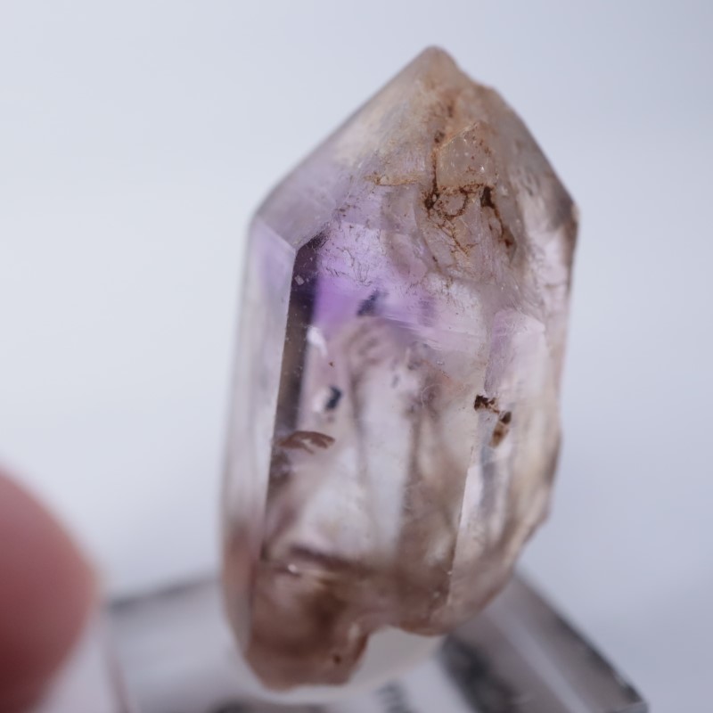 �֥��ɥС����������᥷����