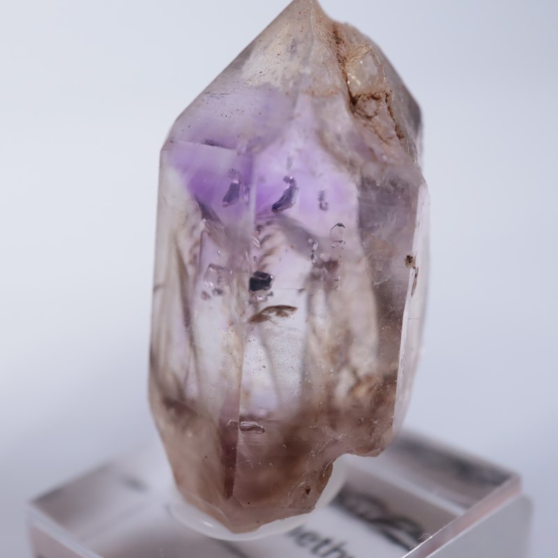 �֥��ɥС����������᥷����