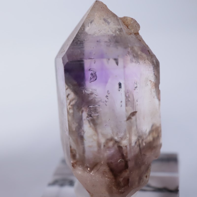 �֥��ɥС����������᥷����