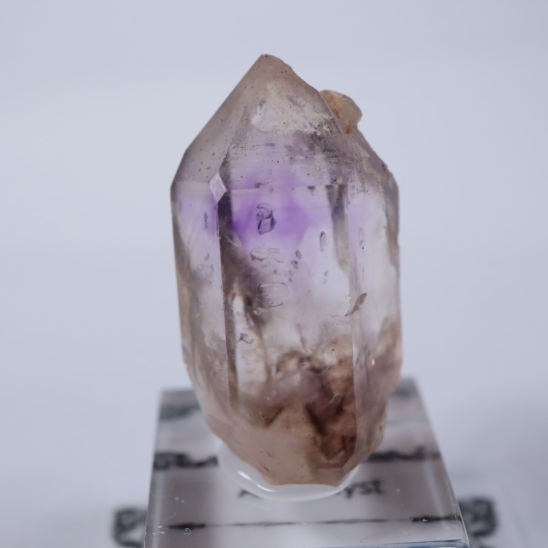 �֥��ɥС����������᥷����