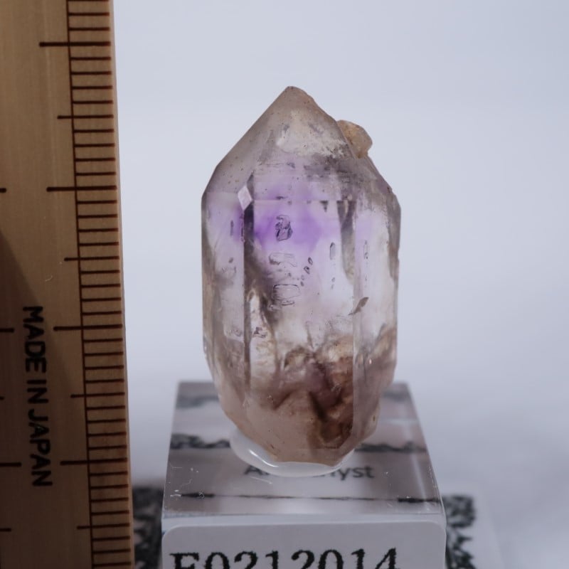 �֥��ɥС����������᥷����