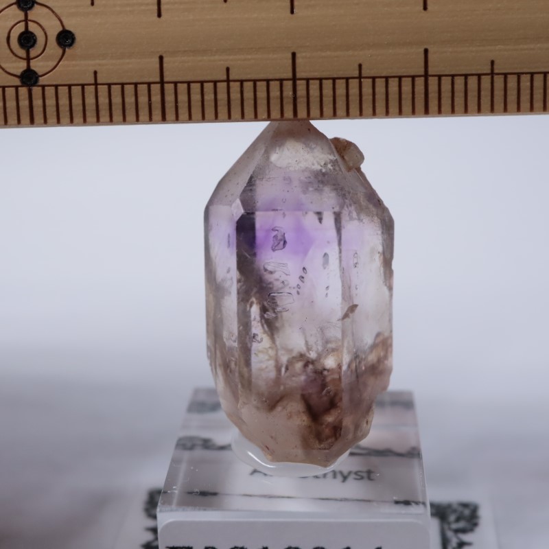 �֥��ɥС����������᥷����