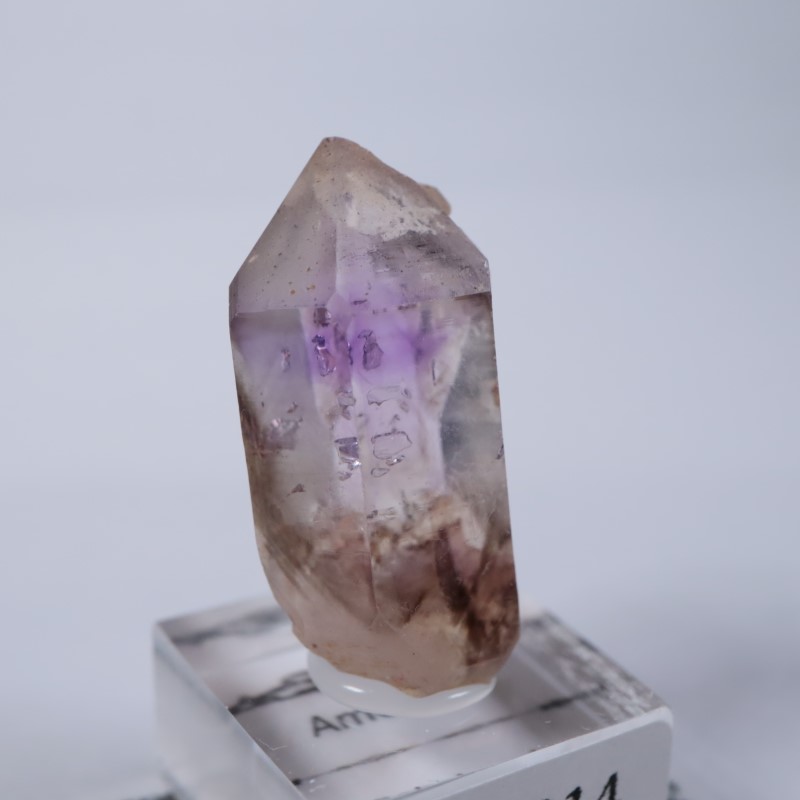 �֥��ɥС����������᥷����