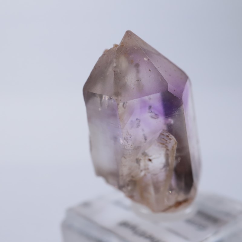 �֥��ɥС����������᥷����