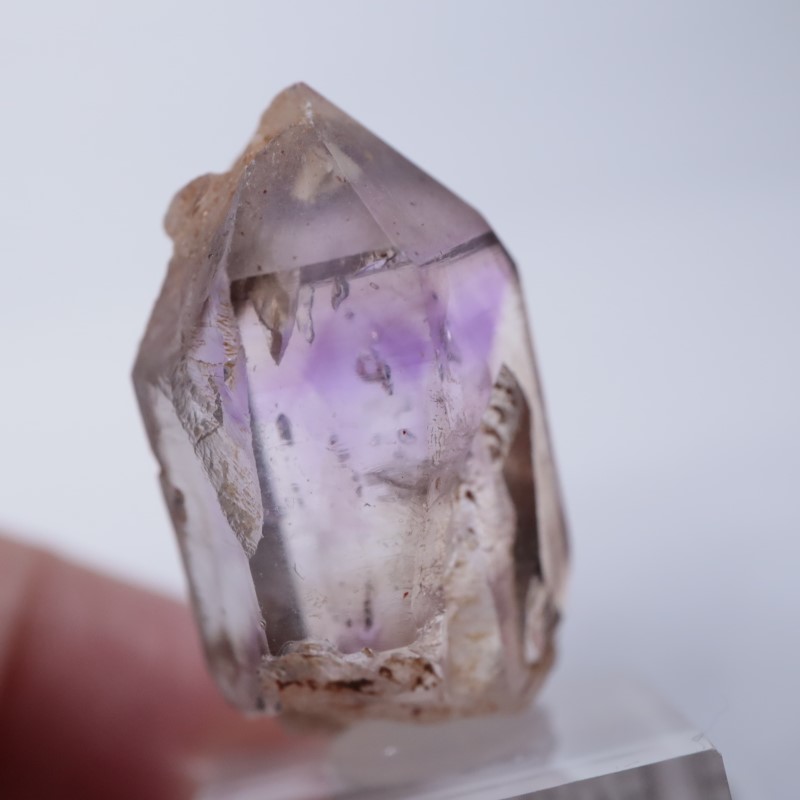 �֥��ɥС����������᥷����