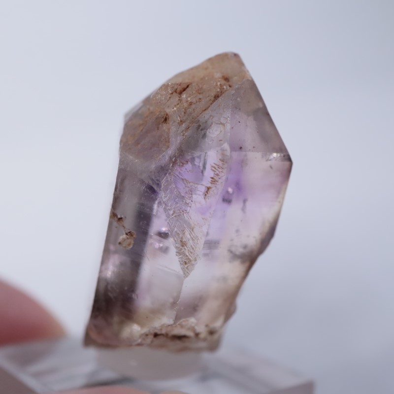 �֥��ɥС����������᥷����