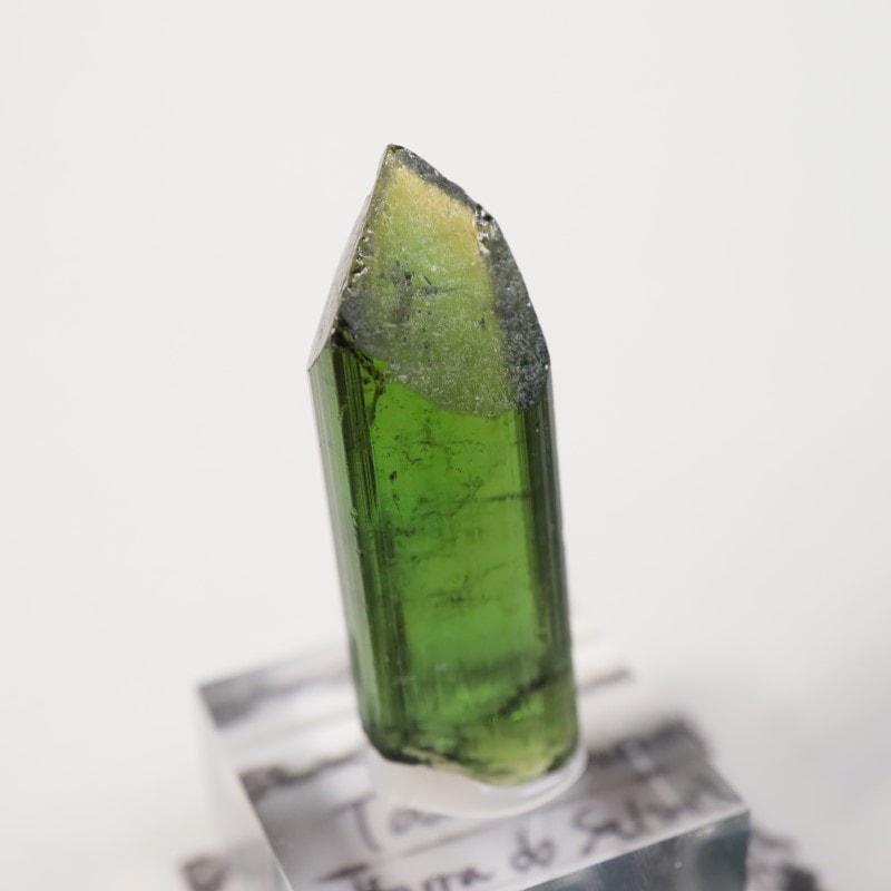 �֥饸�뻺���ȥ�ޥ��