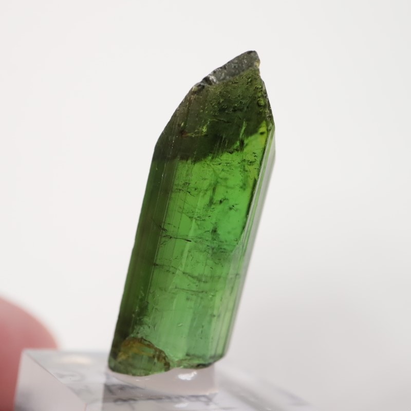 (25812) ブラジル産 トルマリン 鉱物標本 原石 トルマリン原石 ブラジル産 258g (23)