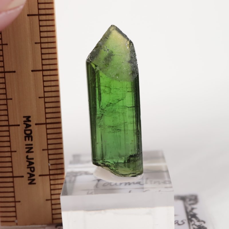 �֥饸�뻺���ȥ�ޥ��