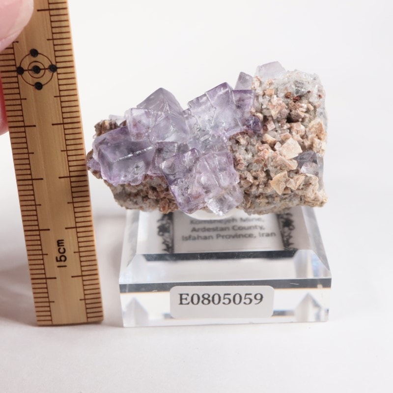 イラン産 フローライト | 鉱物標本,ハ行,フローライト/蛍石 | ほたるみ