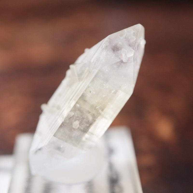 ����ɻ� ���ݥե��饤��