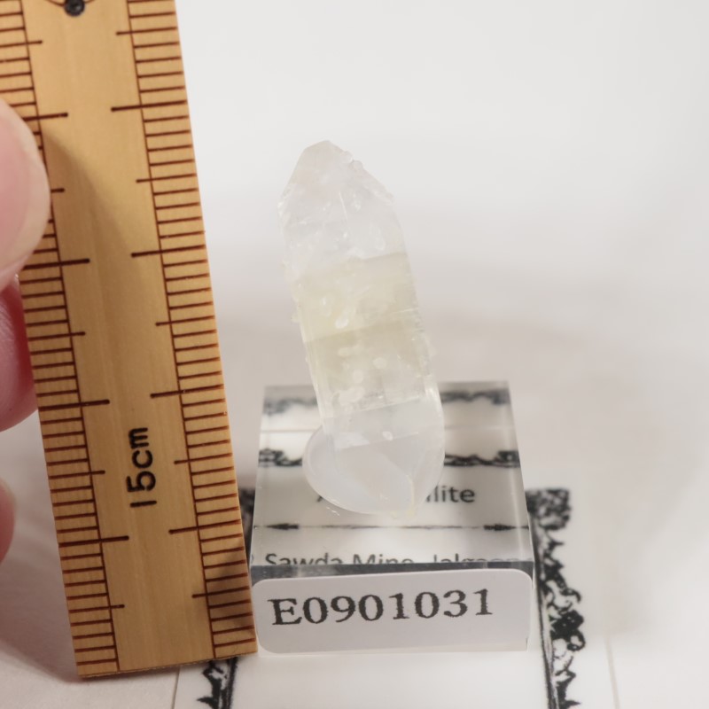 ����ɻ� ���ݥե��饤��