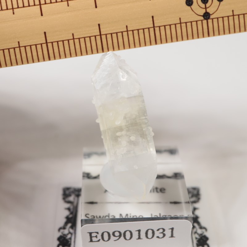 ����ɻ� ���ݥե��饤��