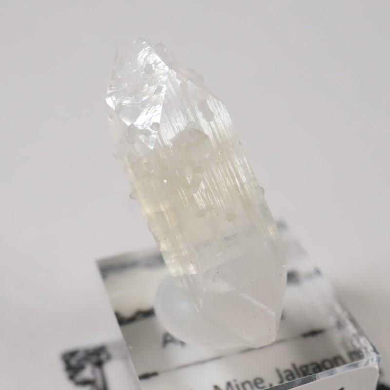 ����ɻ� ���ݥե��饤��