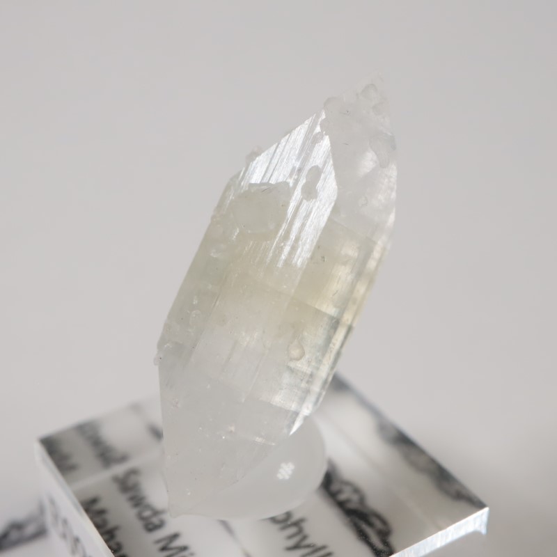 ����ɻ� ���ݥե��饤��