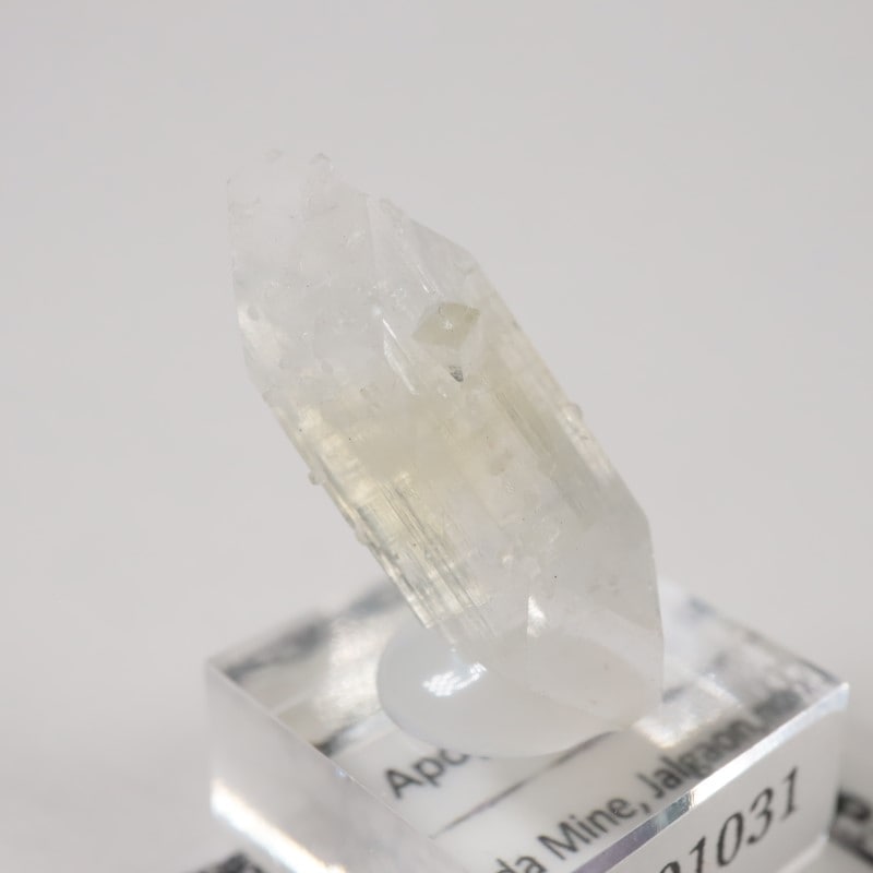 ����ɻ� ���ݥե��饤��