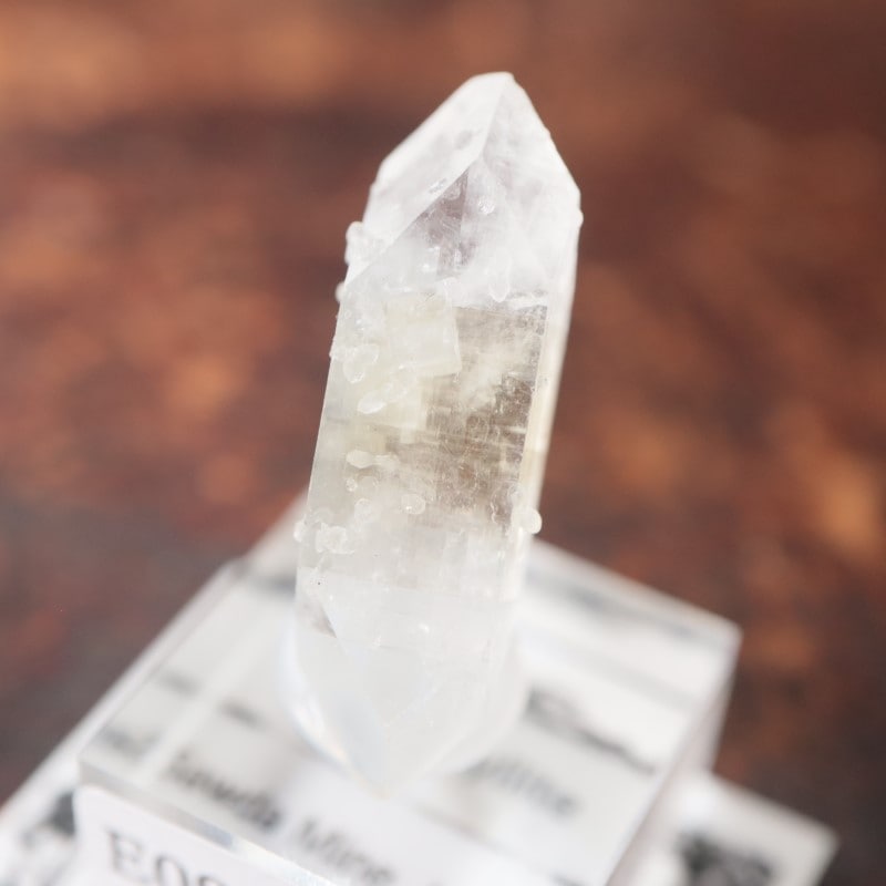 ����ɻ� ���ݥե��饤��