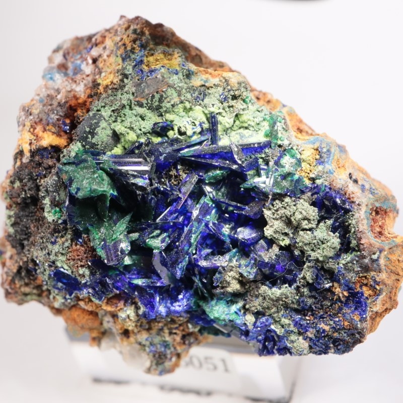 ���꥾�ʽ��������饤��