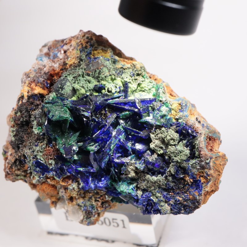 ���꥾�ʽ��������饤��