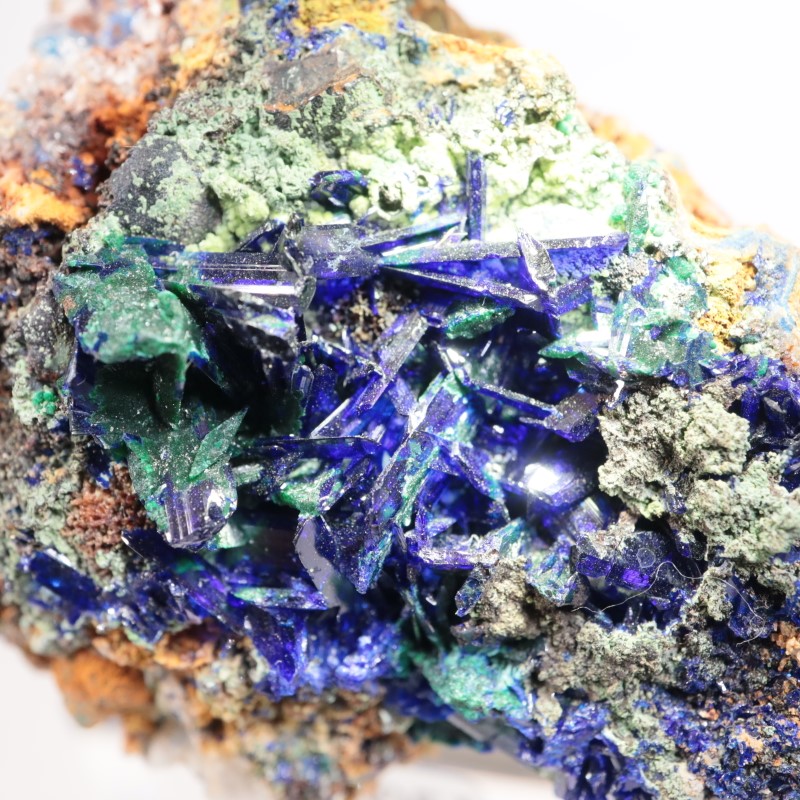 ���꥾�ʽ��������饤��