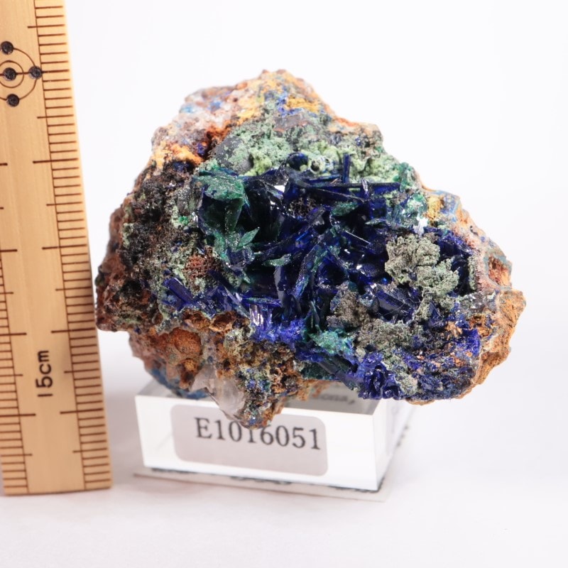 ���꥾�ʽ��������饤��