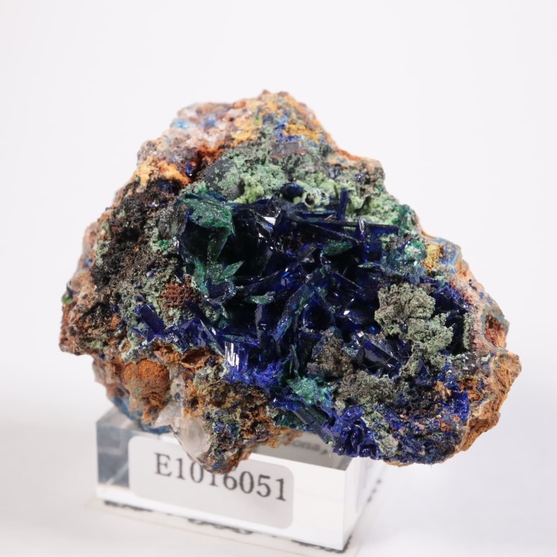 ���꥾�ʽ��������饤��