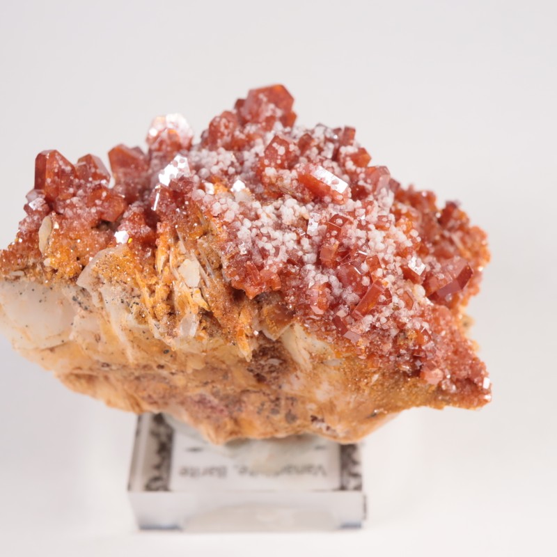 ����å��� �Хʥǥ��ʥ���