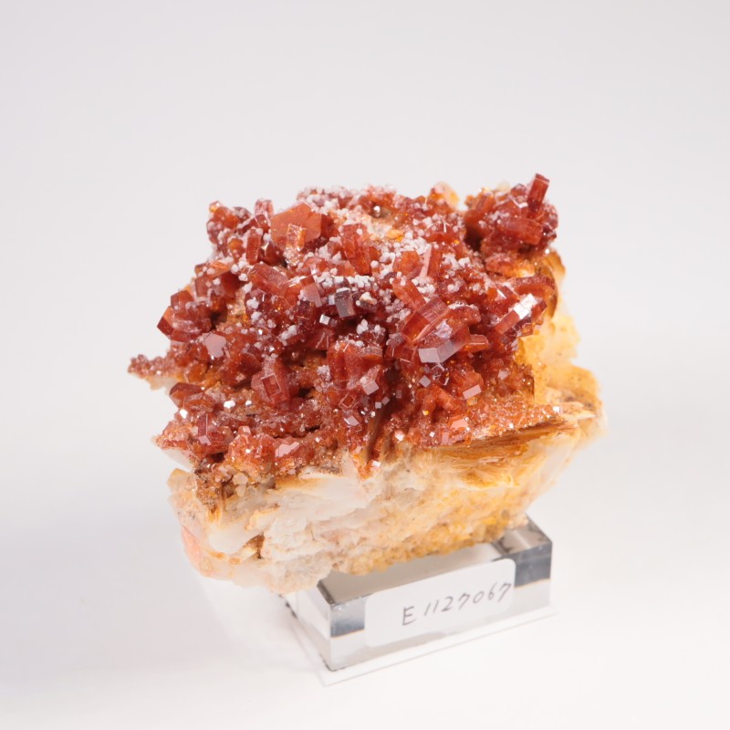 ����å��� �Хʥǥ��ʥ���