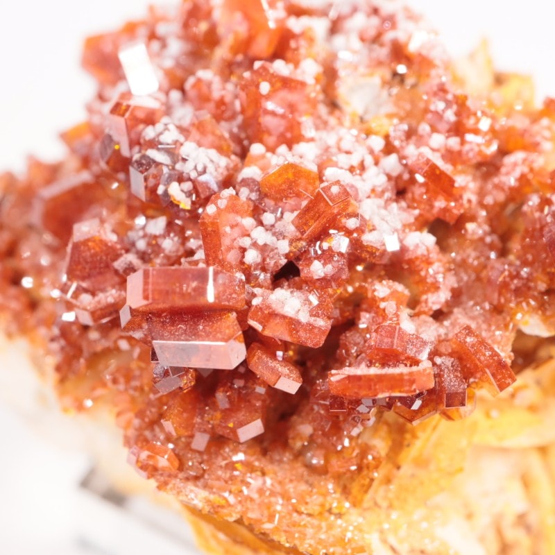 ����å��� �Хʥǥ��ʥ���