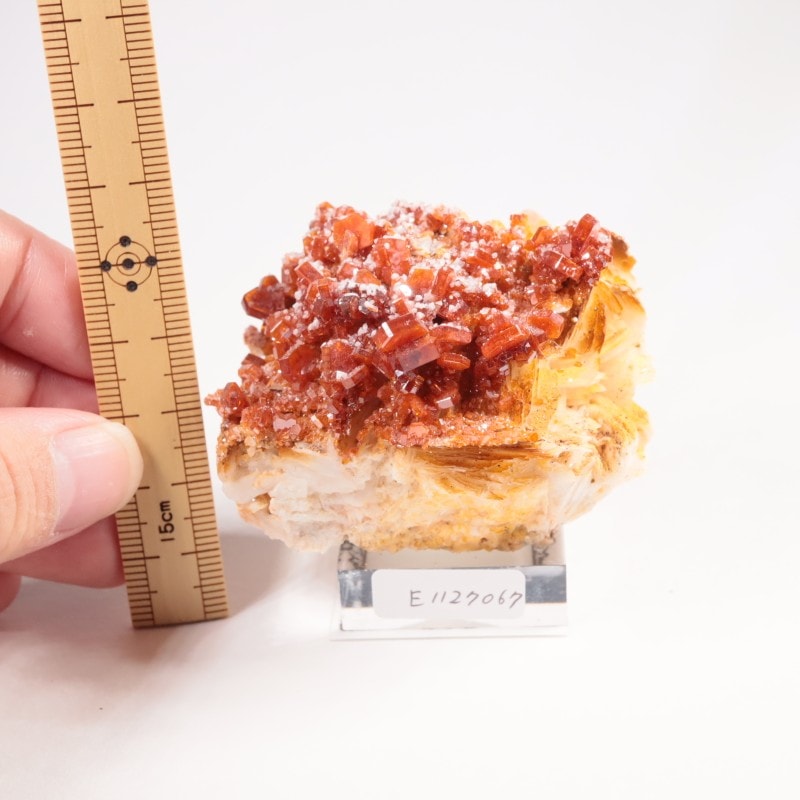 ����å��� �Хʥǥ��ʥ���