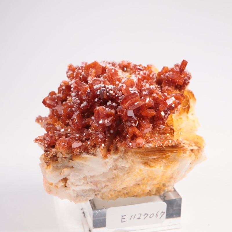 ����å��� �Хʥǥ��ʥ���