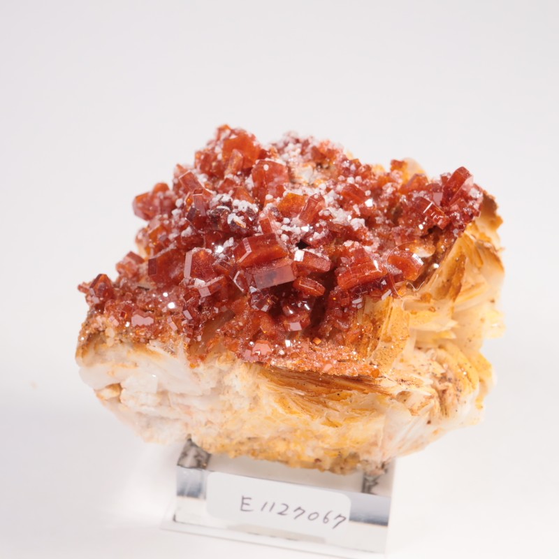 ����å��� �Хʥǥ��ʥ���