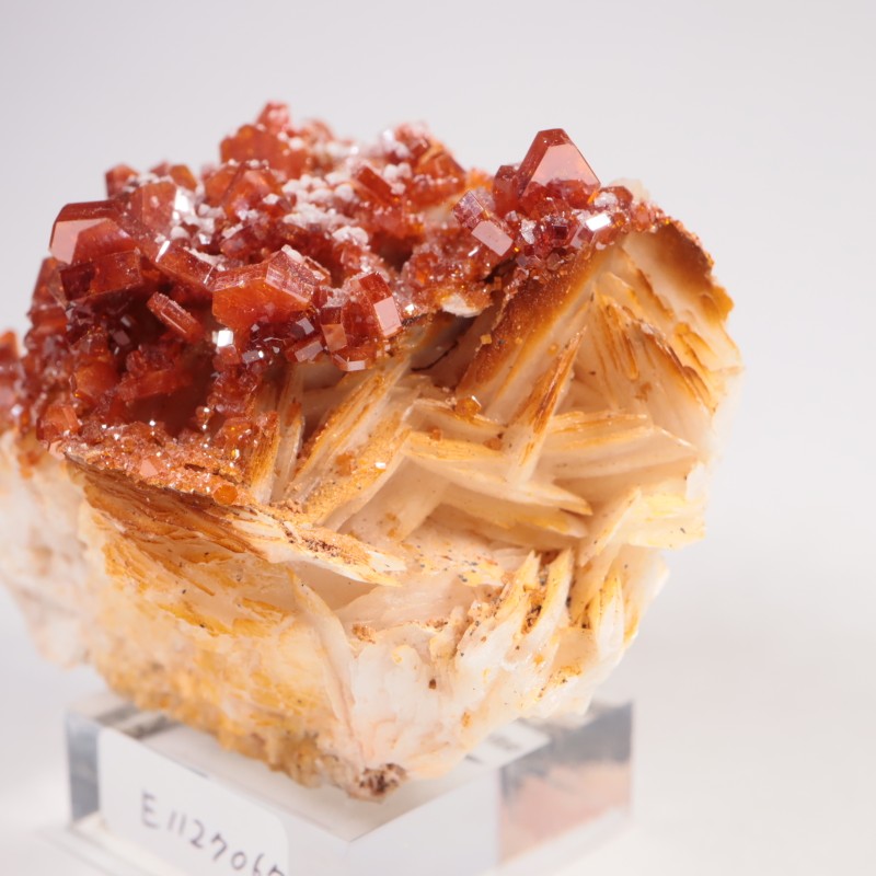 ����å��� �Хʥǥ��ʥ���